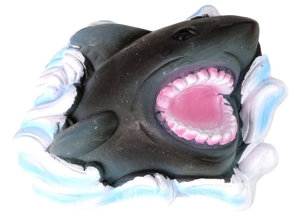 Grävkit hajfossil med ammoniter 14x11 cm, 6+ år