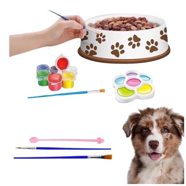 DIY-maalaussarja koiran kulhoon lapsille, 6 osaa, värit ja sivellin