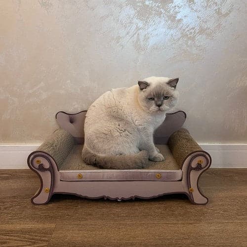 Kattsoffa klösbräda i wellpapp/MDF 60 cm, sittyta 41x28 cm