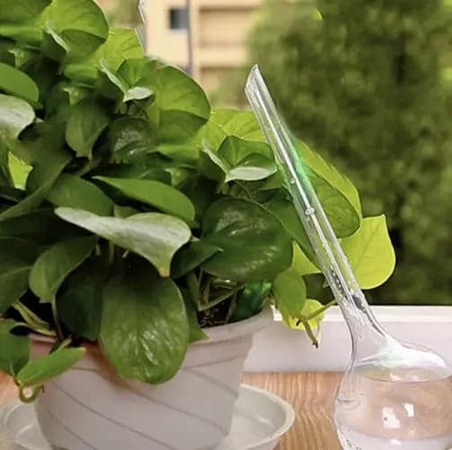 Vattningskulor 8-pack 280 ml transparent PVC för krukväxter
