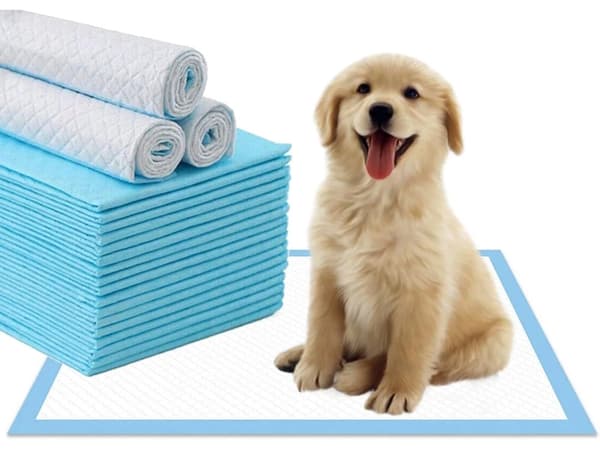 Træningsunderlag til hund 45x60 cm absorberende engang 50-pack