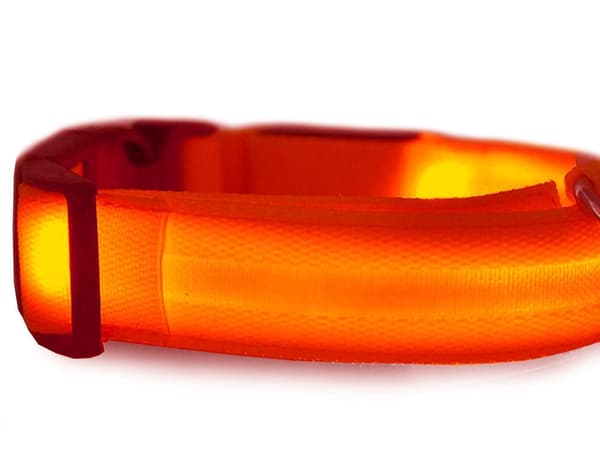 LED-halsbånd hund/kat justerbart 46–59 cm rød inkl. batterier