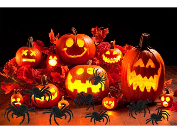 Halloween-hämähäkit muovia 4 kpl 7x11 cm, mustat