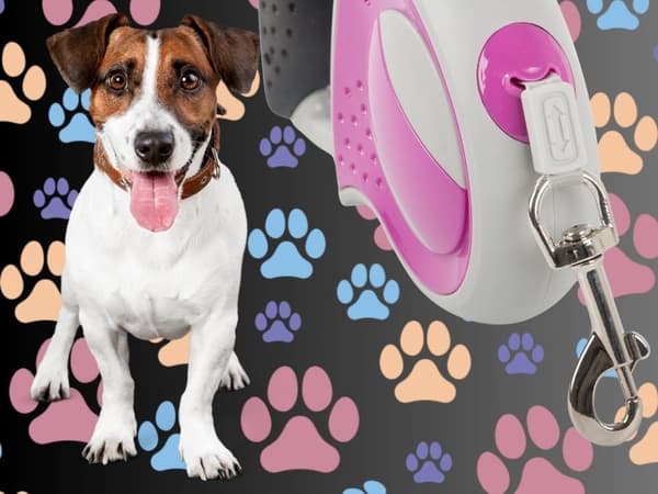 Automatisk hundeline 5 m til hund op til 20 kg rosa