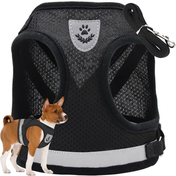 Sele XS med reflekser & line 110 cm sort til hund/kat/kanin