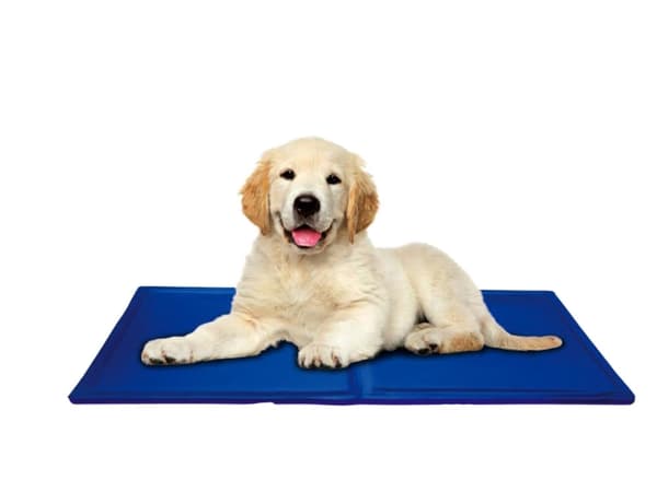 Kølemåtte til hund og kat med kølegel 50x90 cm blå polyester
