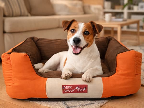 Hunde- og katteseng i polyester S 60x40x18 cm, skridsikker, orange