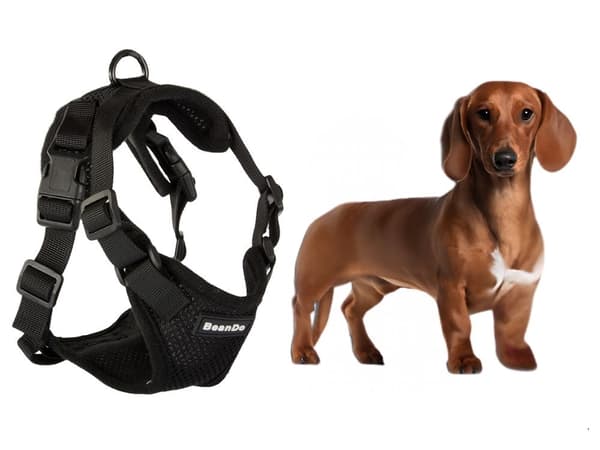 Hundesele M sort med kobbel 150 cm reflekterende justerbar