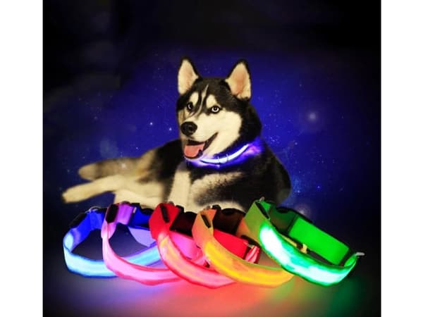 LED-halsbånd hund/kat justerbart 46–59 cm rød inkl. batterier