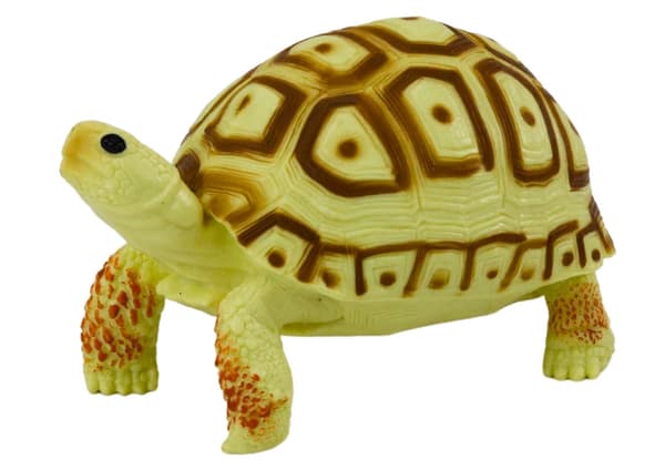Skildpadde samlerfigur 11 cm legetøjsfigur reptil, CE/EN71 3+