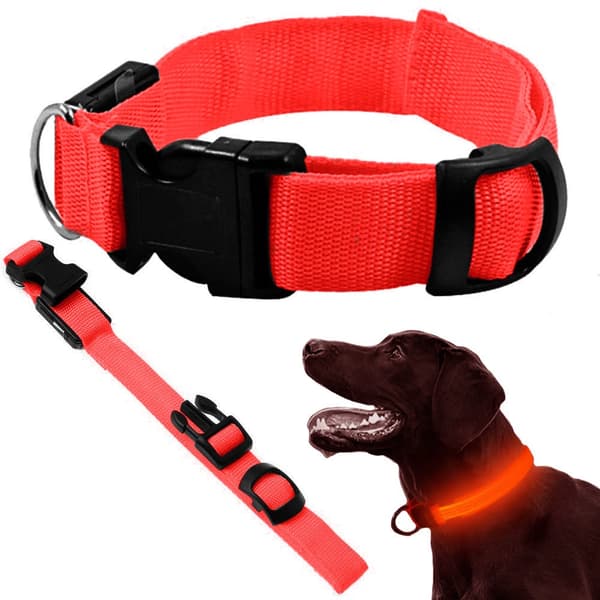 LED-halsbånd hund/kat justerbart 46–59 cm rød inkl. batterier