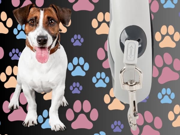 Automatisk hundesnor 5 m sort til hund op til 20 kg