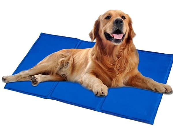 Kølemåtte til hund og kat med kølegel 50x90 cm blå polyester