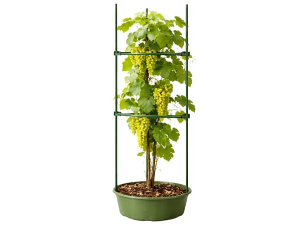 Triangulärt växtstöd i plast 90 cm, grön 1-pack