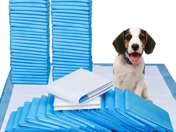 Træningsunderlag til hund 45x60 cm absorberende engang 50-pack