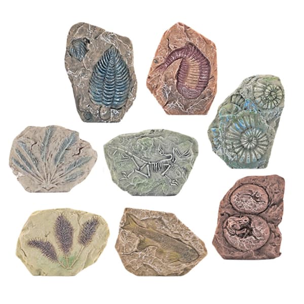 Fossil utgrävningskit för barn med gipsblock, mejsel, hammare & borstar