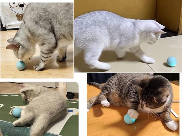 Interaktiv legetøjsbold med LED & fjernbetjening 4 cm USB til kat/hund