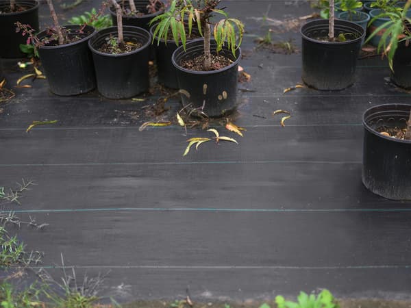 Markduk ogräsduk PP 70 g/m² 1x30 m svart med gröna linjer