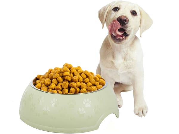 Hund- og kattemadsskål 1,2 L rustfrit stål/plast blandede farver