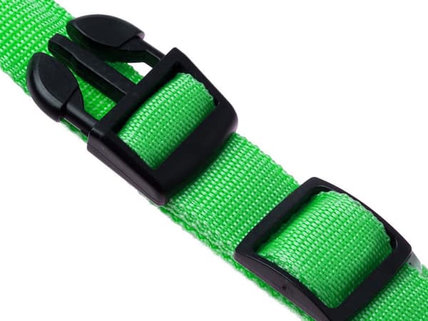 LED-halsbånd hund/kat justerbart 46–59 cm grøn inkl. 2 batterier