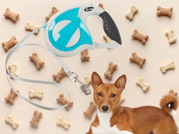 Automatisk hundesnor 5 m bånd til hund op til 20 kg blå