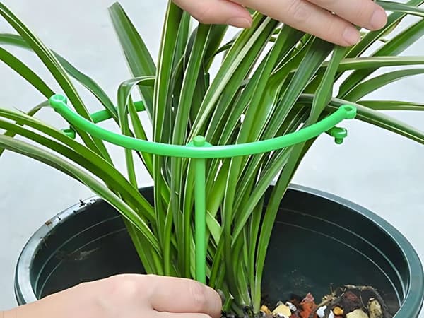 Plantebøjle med 3 ringe grøn plast ringdiameter 19 cm højde 63 cm