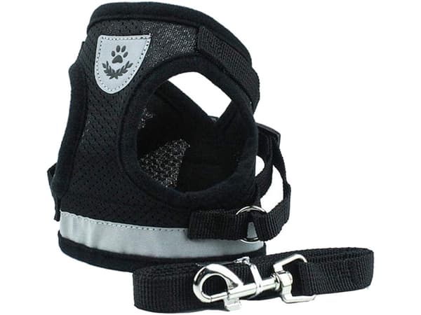 Sele XS med reflekser & line 110 cm sort til hund/kat/kanin