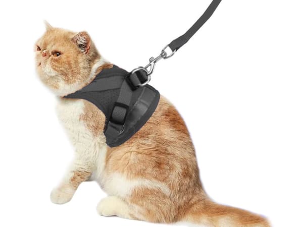 Sele XS med reflekser & line 110 cm sort til hund/kat/kanin