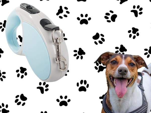 Automatisk hundesnor 5 m til hund op til 15 kg blå