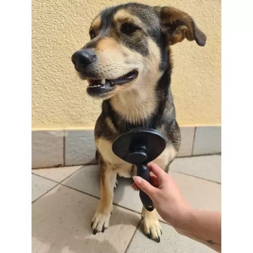 Selvrensende pelsbørste med knap til hund, kat og kanin sort