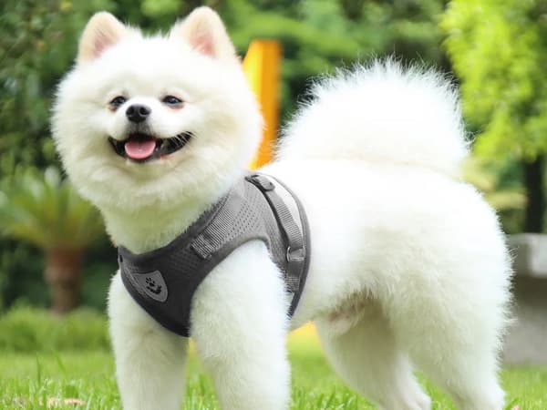 Trykfri hundesele med snor 110 cm refleks justerbar M grå