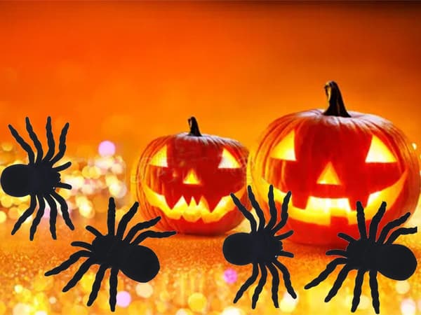 Halloween-edderkopper i plast 4-pack 7x11 cm, sorte