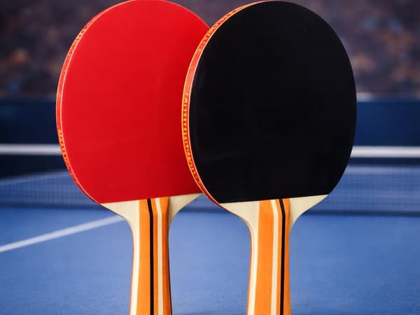 Bordtennisset 2 racketar + 3 bollar med fodral