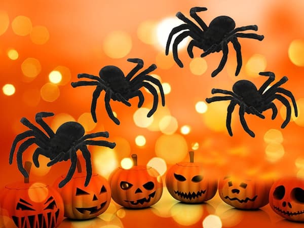 Halloween-spindlar i plast 4-pack 7x11 cm, svarta