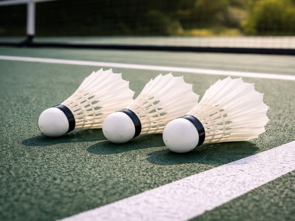 Badmintonbolde med fjer 3-pak, hvide, 8x6 cm