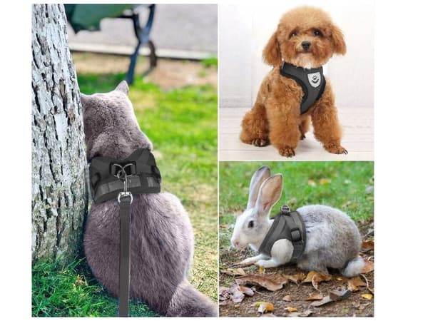 Sele XS med reflekser & line 110 cm sort til hund/kat/kanin
