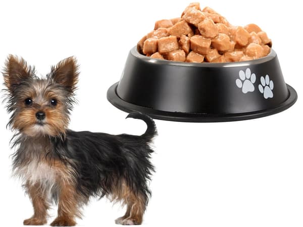 Hundskål rostfritt stål 150 ml med halkfri gummiring 12 cm