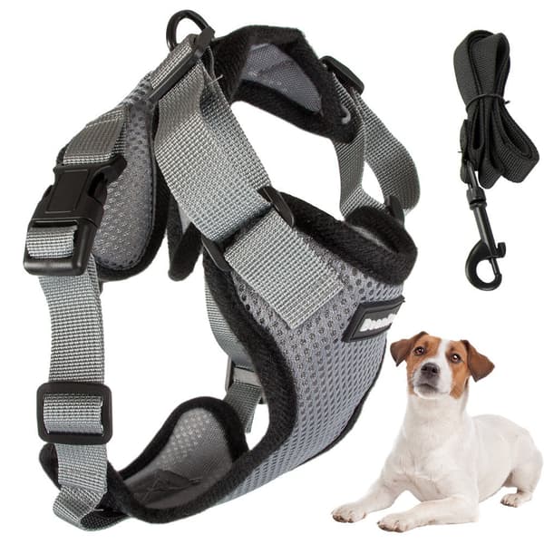 Hundesele trykfri med line 150 cm str. L blandede farver