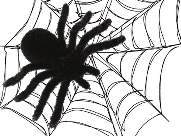 Halloween-spindlar i plast 4-pack 7x11 cm, svarta