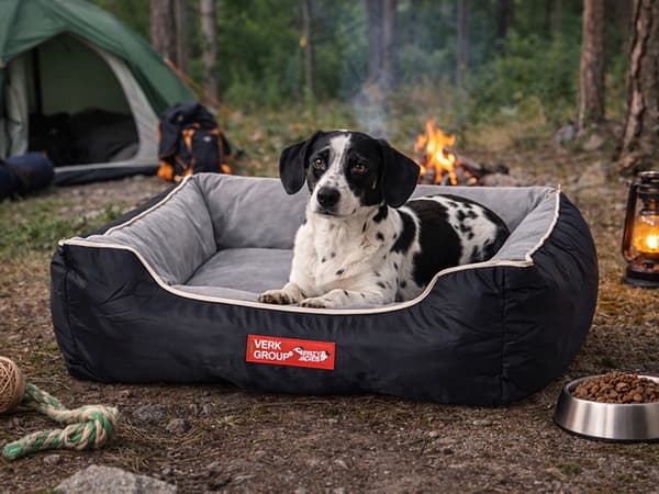 Hundeseng rektangulær med aftageligt betræk, velour 55x65 cm