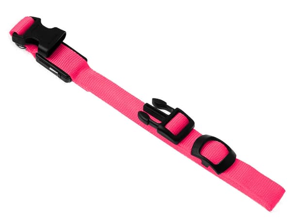 LED-halsbånd hund/kat justerbart 46–59 cm rosa inkl. 2 batterier