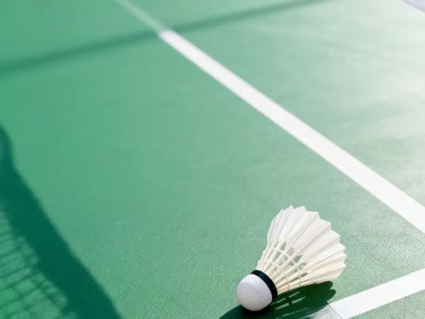 Badmintonbolde med fjer 3-pak, hvide, 8x6 cm