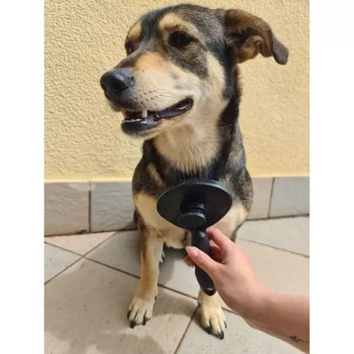 Selvrensende pelsbørste med knap til hund, kat og kanin sort