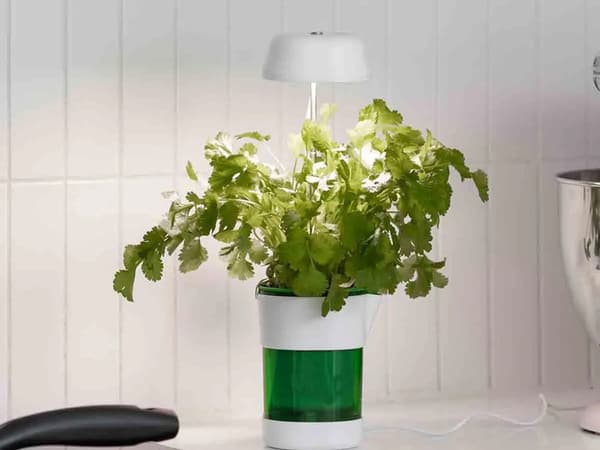 Vækstlampe med selvvandende potte LED fuldspektrum USB hvid