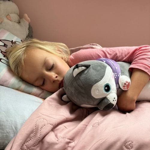 Teddy-koira pehmolelu/tyyny 70 cm pitkä, pestävä pehmo-koira