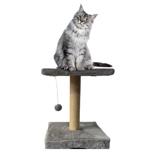 Kradsetræ til kat med hus/seng, sisalstolpe 56 cm, muselegetøj
