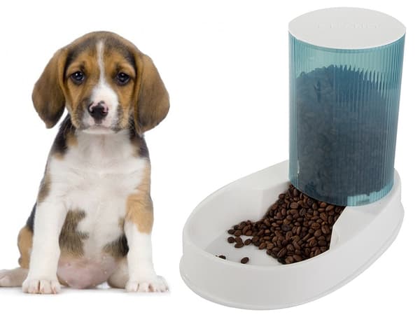 Foderautomat til hund/kat til tørfoder 2,5 L blå/rosa