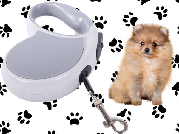 Automatisk hundesnor 5 m til hund op til 15 kg grå