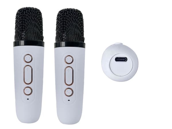 Karaokajärjestelmä Bluetooth-kaiutin LEDillä ja 2 langattomalla mikrofonilla
