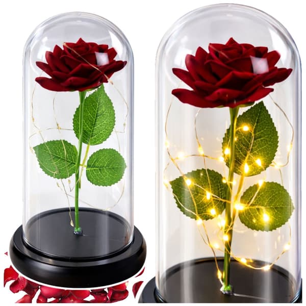 Evig röd ros i glaskupa med 20 varmvita LED, 21 cm, presentask